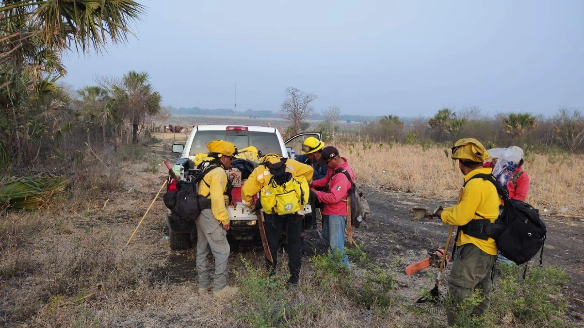 Incendios forestales en Valles y San Ciro (3)